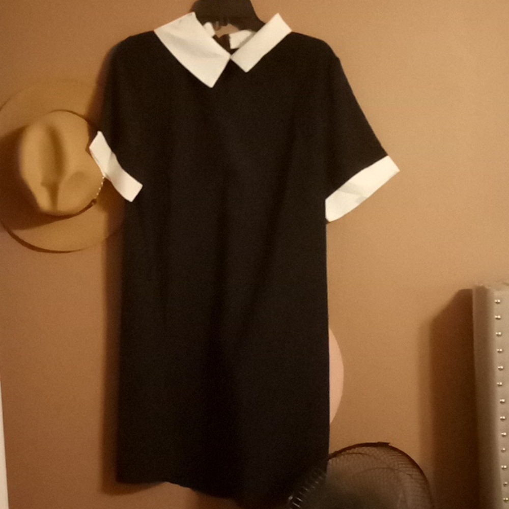 Black and white collar dress